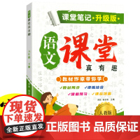 新版课堂笔记升级版 六年级下册语文人教版 教材同步解读课本知识大全 小学语文课堂真有趣教材 同步教材人教版课本同步练习题