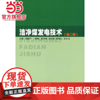 洁净煤发电技术(第二版)