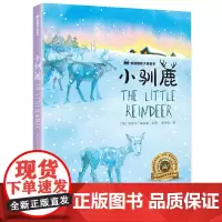 桂冠绘本 小驯鹿