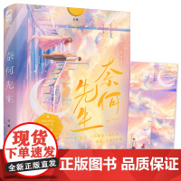 奈何先生 夏光 四川文艺出版社 正版书籍