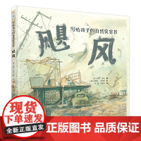写给孩子的自然灾害书-飓风