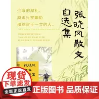 张晓风散文自选集(名家散文自选集·升级版)