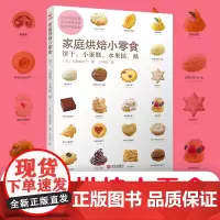 家庭烘焙小零食 家庭健康零食烘焙 无添加饼干蛋糕配方 儿童点心水果挞教程 空气炸锅烤箱两用食谱 亲子DIY趣味指南 正