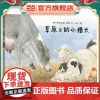 草原上的小猎犬