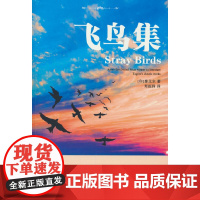 飞鸟集[中英对照注释版]未删减 英汉对照版双语世界文学小说名著 经典英语读物故事书籍