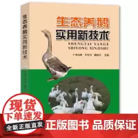 生态养鹅实用新技术