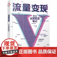 流量变现:大V运营实战笔记 叶问 化学工业出版社 正版书籍