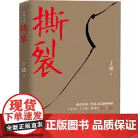 撕裂(著名作家丁捷继《初心》后最新文化反腐力作,以前所未有的诚恳,近距离逼视腐 丁捷 中国文联出版社 正版书籍