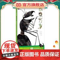 昆虫万岁(魔法象·图画书王国)
