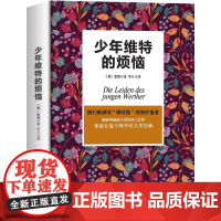少年维特的烦恼
