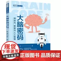 大脑密码——神经元、智能与人工智能