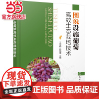 图说设施葡萄高效生态栽培技术 王志鹏 化学工业出版社 正版书籍