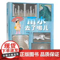 雨水去了哪儿