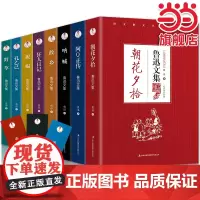 [套装8册]鲁迅文集 鲁迅 吉林出版集团有限责任公司 正版书籍