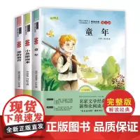 当当 全套3册童年爱的教育和小英雄雨来六年级上册必读的课外书老师经典书目正版完整版高尔基管桦原著快乐读书吧6上小学阅读