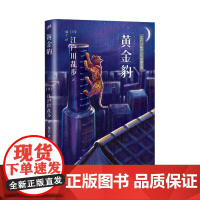 江户川乱步少年侦探系列:黄金豹