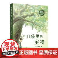 黄蓓佳倾情桥梁书系列(注音版):口袋里的宝物