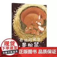 奇迹的名字是松鼠(中国原创儿童文学,孩子与动物的童话故事书。没有一个冬天不可跨越,愿你也能收获松鼠的宝藏——勇敢,自信