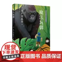 江户川乱步少年侦探系列:魔法玩偶