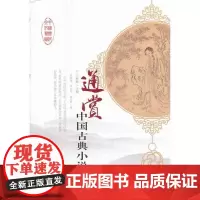 中国历代文化艺术丛书 通赏中国古典小说