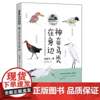 自然真奇妙——神奇鸟类在身边