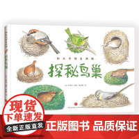 铃木守的自然课:探秘鸟巢(跟随绘本大师铃木守的脚步,跨越7个大洲,探秘35种鸟类巢穴,开启自然科学启蒙之旅)