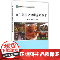 肉牛集约化健康养殖技术
