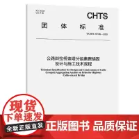 公路斜拉桥索塔分组集聚锚固设计与施工技术规程(T/CHTS 10185—2025)