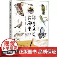 自然真奇妙——神奇鸟类在哪里