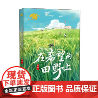 在希望的田野上