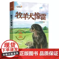 牧羊犬惊雷