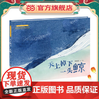 天上掉下一头鲸