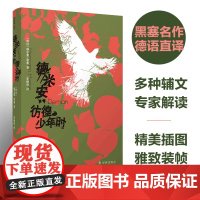 德米安:彷徨少年时(黑塞精选集)豆瓣高分译本,名家德语直译,收录黑塞亲笔画 赫尔曼·黑塞 译林出版社 正版书籍