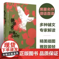 德米安:彷徨少年时(黑塞精选集)豆瓣高分译本,名家德语直译,收录黑塞亲笔画 赫尔曼·黑塞 译林出版社 正版书籍