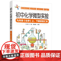 初中化学微型实验