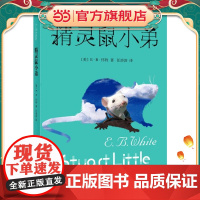 正版童书 精灵鼠小弟(新)原版怀特著任溶溶译经典儿童文学夏洛的网作者 6-7-10-12岁儿童文学图书四五六年级小学生课