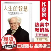 [ 正版书籍]人生的智慧:如何幸福度过一生 底读懂人是什么、人拥有什么、别人到底怎么看你
