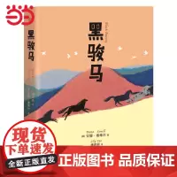 正版童书 黑骏马精编全译 7-10岁11-14岁世界经典儿童文学动物小说