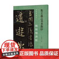 名家教你写(视频精讲版) 集王羲之书圣教序