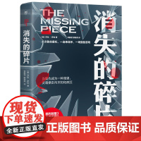 消失的碎片(心理学犯罪+硬汉侦探。一次致命委托,一连串神秘谋杀,一场猫鼠游戏)