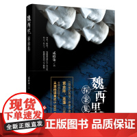 魏西里探案集