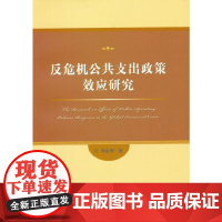 反危机公共支出政策效应研究