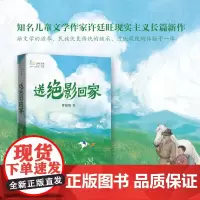 送绝影回家:知名儿童文学作家许廷旺又一长篇力作,融文学的滋养、边地风貌的体验于一体