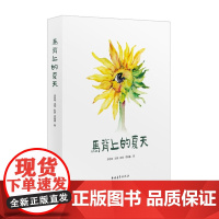 马背上的夏天:四个女孩三个夏天的支教纪实 汤珣 中国青年出版社 正版书籍