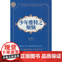 少年维特之烦恼 名家全译精彩阅读 外国文学名家精选书系 6-15岁中小学生课外阅读书 一二三四五六小学生阅读书 7-