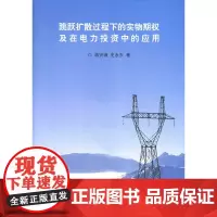跳跃扩散过程下的实物期权及在电力投资中的应用(J)