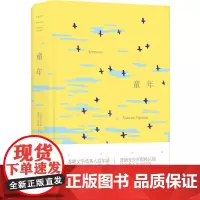 名著译林:童年(全译本)