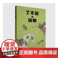 了不起的动物——十二生肖