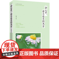静心里,都有最美的风景 正版书籍