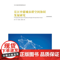 长江中游城市群空间协同发展研究